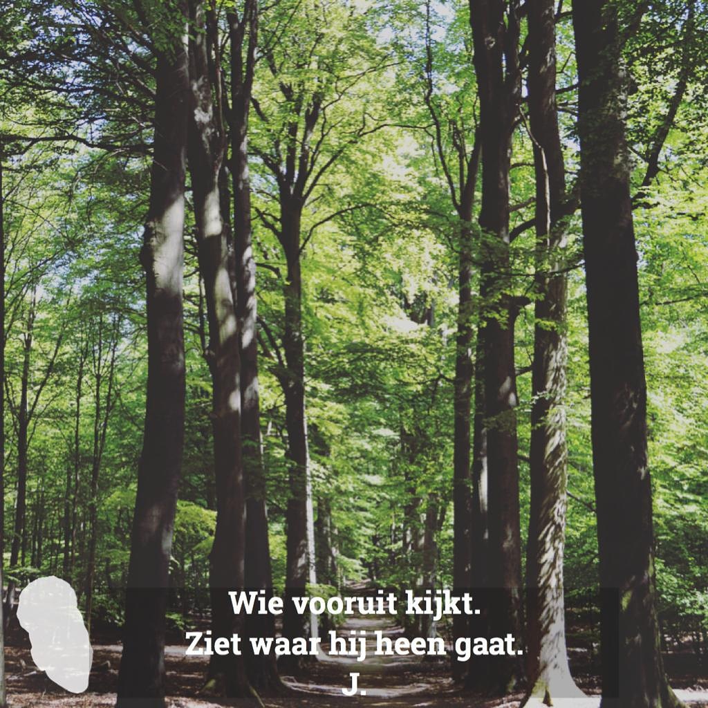 Je doel voor ogen hebben. Mama Jo Meets